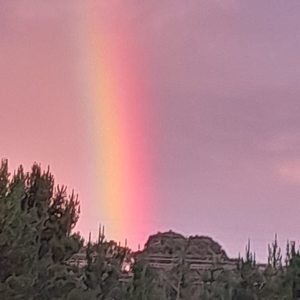 Meet your Posher, Nezza charlie